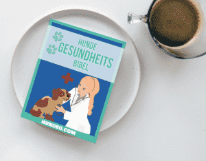 Hunde Gesundheits Bibel (Unsere Erfahrungen) 2